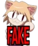 NecoFAKE