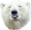 BlepBAER