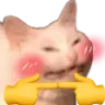 cattoAwkwardBlush