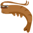 SUSSHRIMP