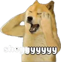 sheeyy