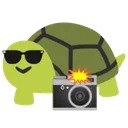 8947turtle4k