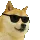 dogeDance