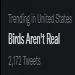 NoBirds