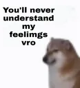BRV_feelings