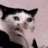 catworried Discord Emoji