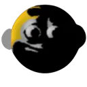 bro_wtf