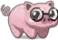 nerdpig