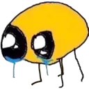 sob