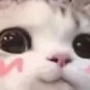 huhu