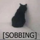 catsobbing