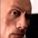 NC_the_rock_sus