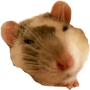 8086ratuwu Discord Emoji