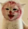 ABCrawr