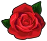 item_flower_red_rose