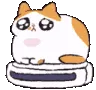 _catrolling