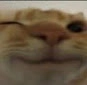 wink_FDB Discord emoji