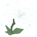white_flower