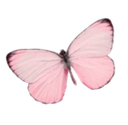 d4_mariposa Discord emoji
