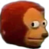 monkeylook