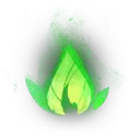 seed