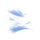 Dash