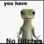 youhavenobitches