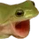 froggers2 froggers2