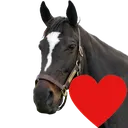ruffyheart