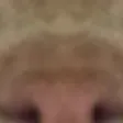 kitty2
