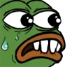 monkaOHNO