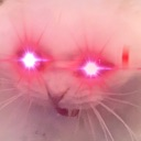 evilcat Discord emoji