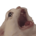 catrage Discord emoji
