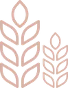 foc