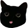blep