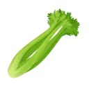 celery2