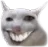 GatoEpico
