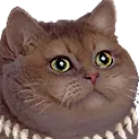 afrifatcat afrifatcat