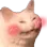 haven_catblush Discord Emoji