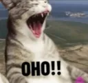 rnx_oho rnx_oho