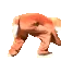 furryRun