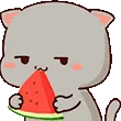 NyaaEatingMelon