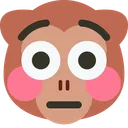 monkeyShocked