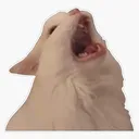 Catscream catscream Discord Emoji