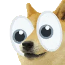 dogeeyeshake