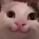 __