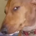 Hmm