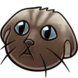 rtgameAfraid