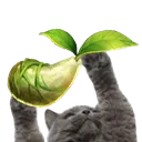 gibmokoko gibmokoko