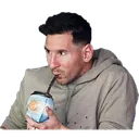 messimate